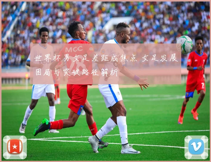 世界杯男女足差距成焦点 女足发展困局与突破路径解析