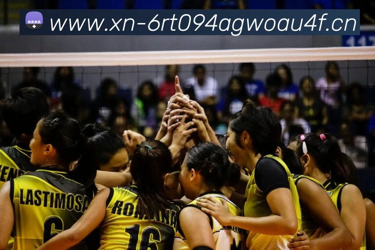 开云kaiyun体育app入口下载官网服务体系